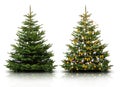 GeschmÃÂ¼ckter Weihnachtsbaum mit bunten Weihnachtskugeln isoliert auf weiÃÅ¸em Hintergrund Royalty Free Stock Photo
